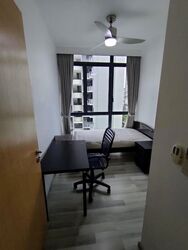 La Fiesta (D19), Condominium #556201091